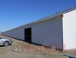 Телятник 2380 кв.м.